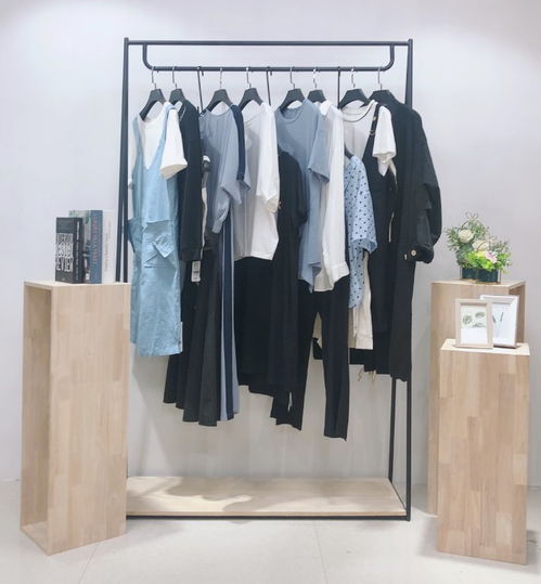 復(fù)古風(fēng)尚，精品庫存女裝連衣裙尾貨批發(fā)指南